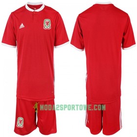 Koszulka Walia Dziecięcy Domowe Stroje Piłkarskie 2018-2019 Krótki Rękaw